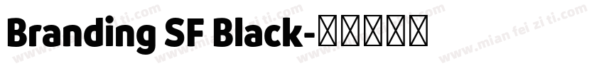 Branding SF Black字体转换
